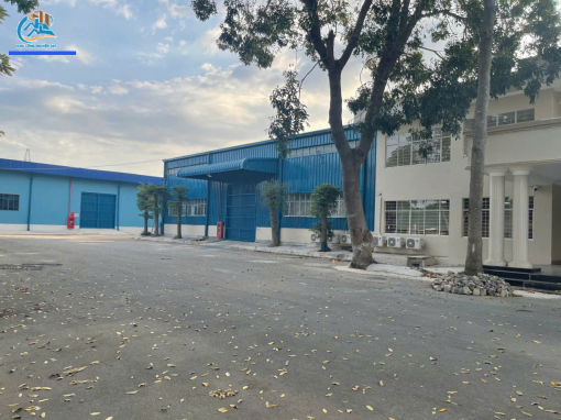 vip_logo_0-510x382